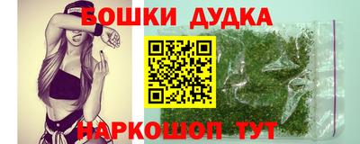 стафф Кандалакша