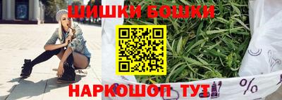 стафф Кандалакша