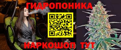 стафф Кандалакша
