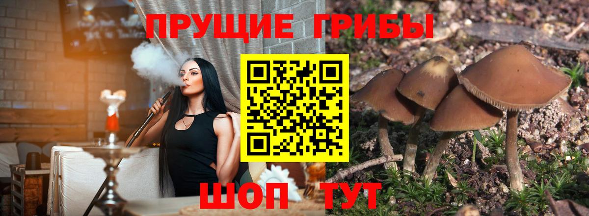 Псилоцибиновые грибы GOLDEN TEACHER Тулун