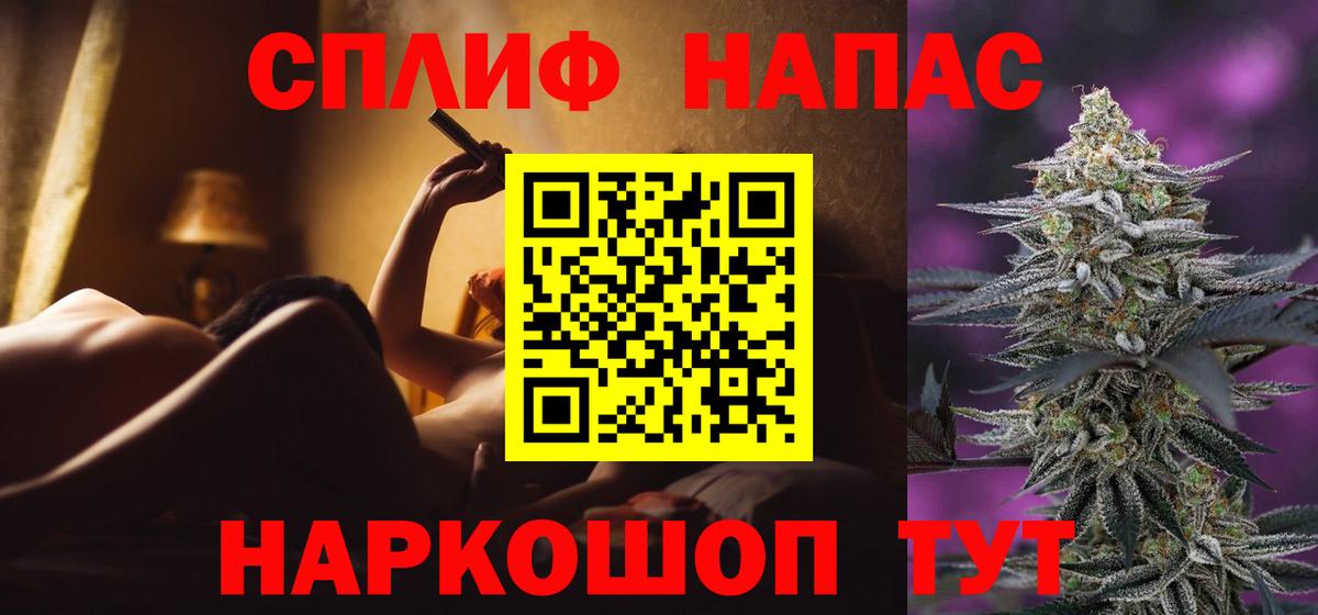 Бошки Шишки планчик Тулун